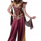 Size: Medium #01095M Desert Jewel Egyptian Queen Genie Princess Gypsy Adult Costume Size: Medium #01095M Desert Jewel Egyptian Queen Genie Princess Gypsy Adult Costume
