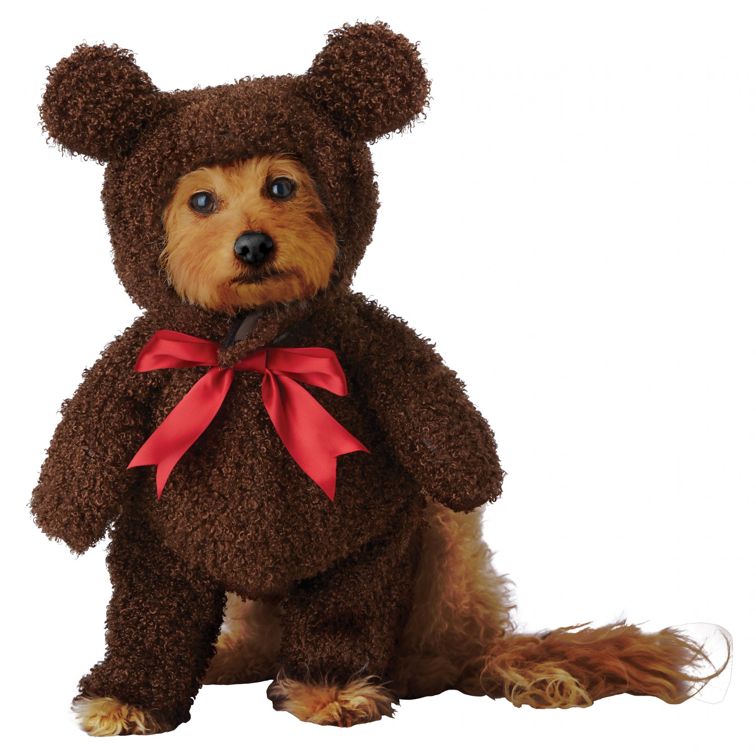 grizzly bear dog toy