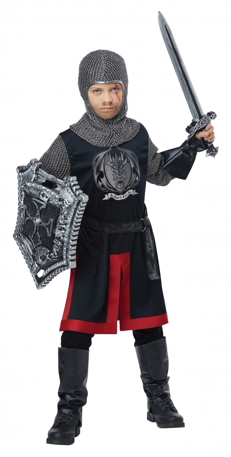 Size: Small #00598 Dragon Knight Medieval Renaissance King Child Costume