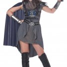 Size: Medium #01419  Lady Knight Queen Game of Thrones Warrior Adult Costume