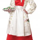 Size: Small #5020-009  Mrs. Claus Pinafore Christmas Dress Adult Costume