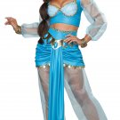 Size: X-Small #01410 Disney Arabian Princess Jasmine Adult Costume