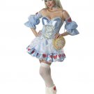 Size: Small #01049 Sexy Storybook Alice in Wonderland Adult Costume