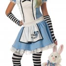 Size: X-Large #04012 Alice in Wonderland Tween Child Costume