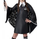 Size: Medium #3021-104 Harry Potter Witch In Training Child Costume