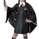 Size: Large #3021-104 Witch In Training Harry Potter Child Costume