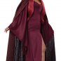 5023-058 Gothic Monk The Red Witch Sorcerer Fantasy Adult Costume