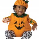 1223-065 Halloween Precious Pumpkin Infant Baby Costume