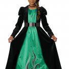 3025-008 Wizard of Oz Wicked Marvelous Witch of the West Child Costume Size: Large 3025-008 Wizard of Oz Wicked Marvelous Witch of the West Child Costume Size: Large