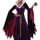 5025-121 Disney Evil Storybook Queen Cosplay Adult Costume Size: X-Small 5025-121 Disney Evil Storybook Queen Cosplay Adult Costume Size: X-Small
