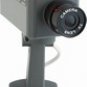 Fake Security Camera (1)