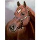 "Skeets Peppy" Giclee on Canvas by Bob Erwin