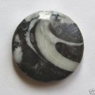 Moroccan Fossil Jasper 30mm Disc