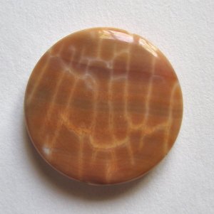 Crab Fire Agate 25mm Disc Bead