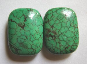 2 Green Turquoise Magnesite 25x18 Rectangle Beads