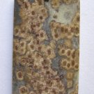 Turtle Jasper 50x28 Rectangle Pendant Bead