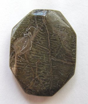 Snakeskin Agate 40x30 Freeform Pendant Bead