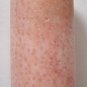 Salmon Blush Flower Coral 41x23 Tube Pendant Bead