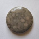 Fossil Jasper 40mm Disc Pendant Bead