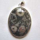 Fossil Coral 53x32 Oval Pendant Bead