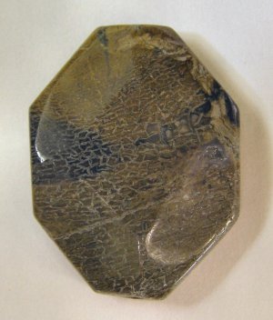 Snakeskin Agate  40x30 Freeform Pendant Bead