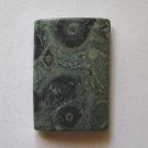 Kambaba Jasper 36x25 Rectangle Pendant Bead