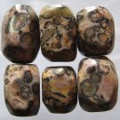 6 Leopardskin Jasper 19x14 Nugget Beads