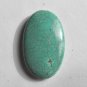 Turquoise Magnesite 49x29 Oval Pendant Bead