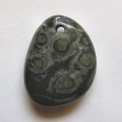 Kambaba Jasper 39x30 Freeform Pendant Bead