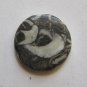 Moroccan Fossil Jasper 30mm Disc