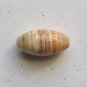 Banded Red Agate 31x16 Rice Pendant Bead