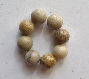 8 Fossil Coral 12mm Round Beads