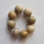 8 Fossil Coral 12mm Round Beads