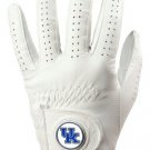 Kentucky Wildcats Cabretta Ncaa Licensed Leather Golf Glove