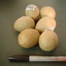 6 Plain Brown Wrinkled Paper Mache Easter Eggs