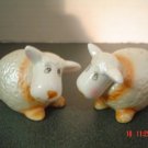 Primitive Sheep Salt and Pepper Shakers Set