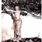 Arthur Rackham The Ring of the Niblung 1939 | The First Edition