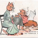 Louis Wain Cats Postcard The Worried Look of The Married Woman Used Postcard 1907