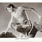 Collection of 21 Picturegoer Film Postcards