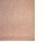 Peach Polyester Sheer Fabric with Embroidered Flowers 42" wide x 3.75 Yards