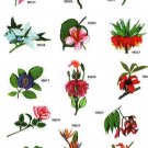 Exocit Flowers