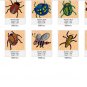 Dont Bug Me