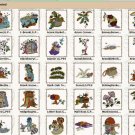 Enchanted Designs