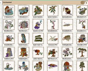 Enchanted Designs