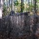 Camouflage Netting and Blinds