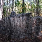 Ghillie Paintball Ultra Light Synthetic Blind Cover
