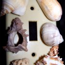Seashell Switchplate cover, handmade with love NEW