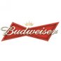 12pk Budweiser