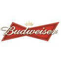 12pk Bud Lite