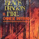 Salisbury, Harrison E. The Great Black Dragon Fire: A Chinese Inferno